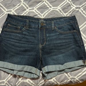 Stretchy!! Denim Shorts (14)